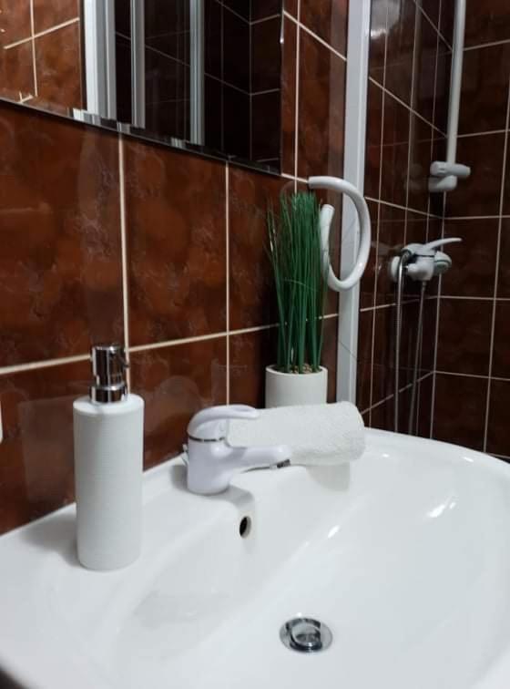 apartament Dominik Zakopane Zewnętrze zdjęcie