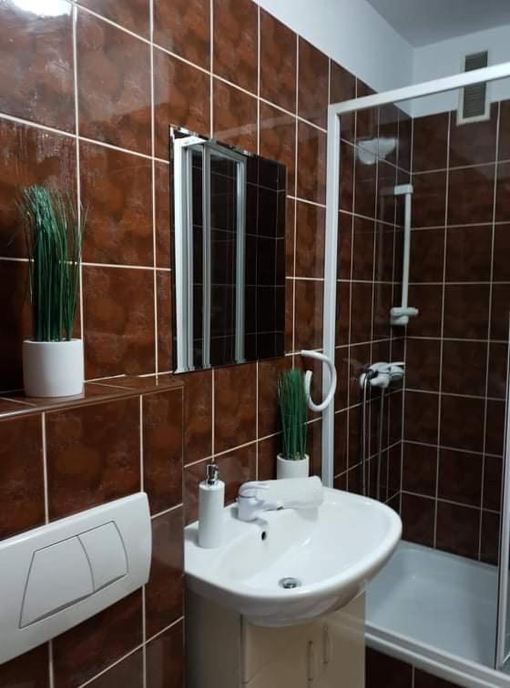apartament Dominik Zakopane Zewnętrze zdjęcie