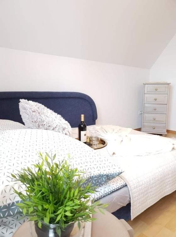 apartament Dominik Zakopane Zewnętrze zdjęcie