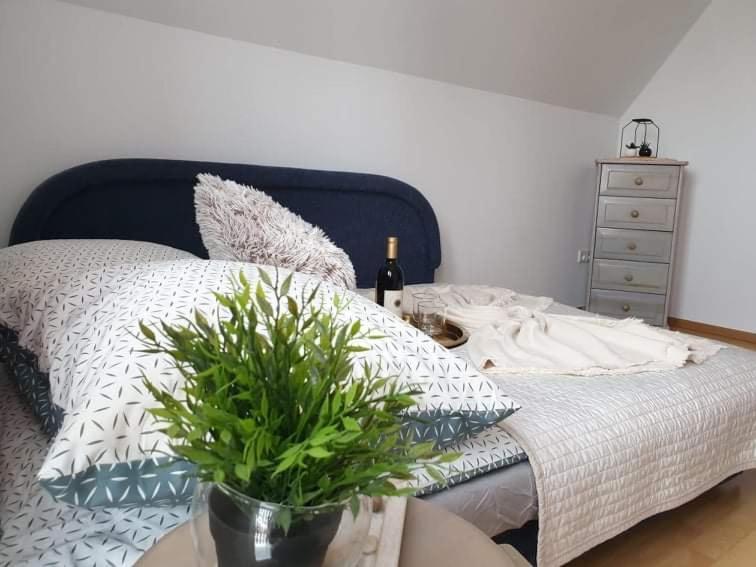 apartament Dominik Zakopane Zewnętrze zdjęcie